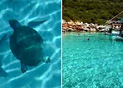 orak adası tekne turu